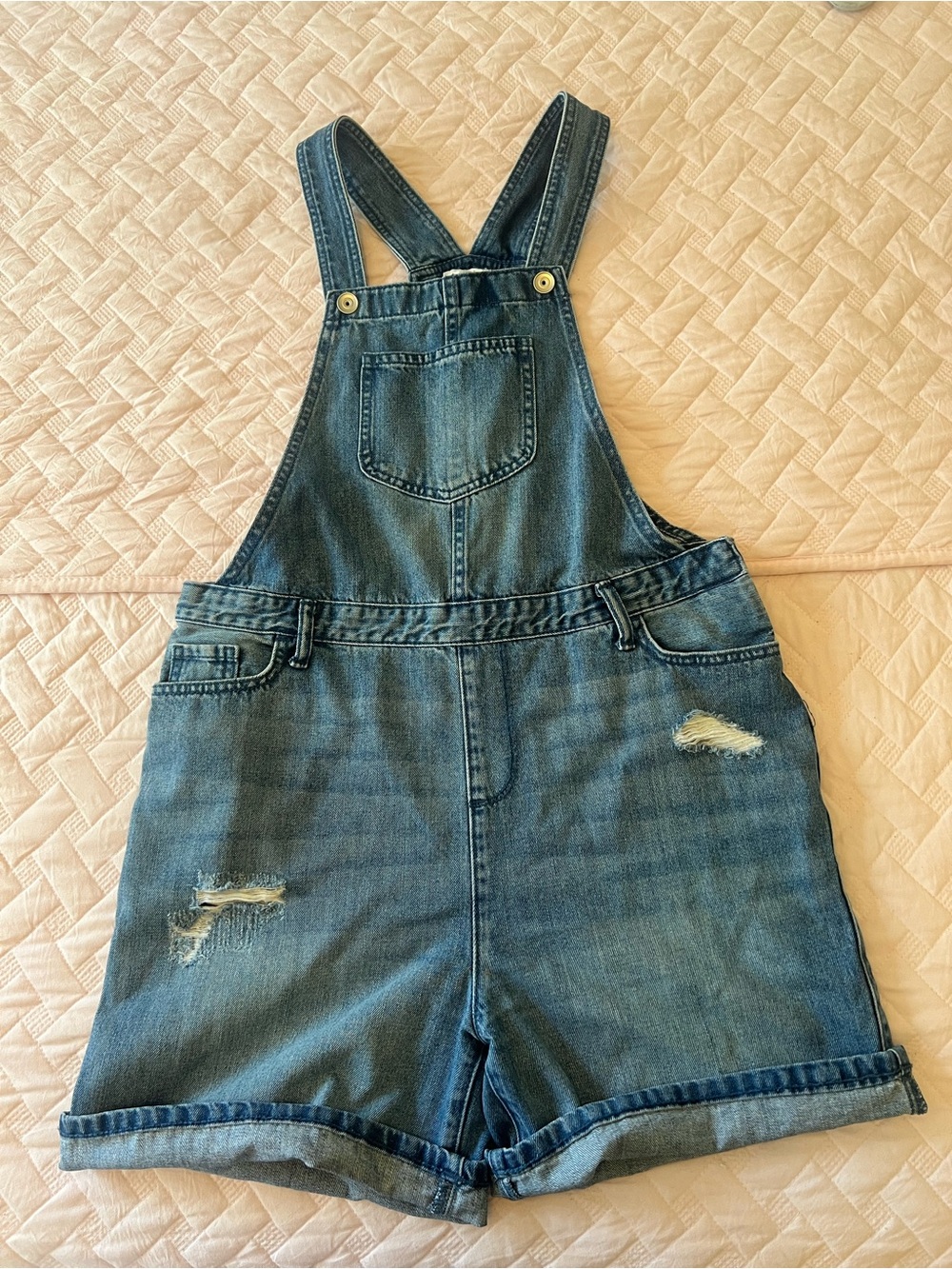 The Children's Place Denim Blue Shortall Overalls